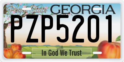 GA license plate PZP5201