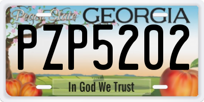 GA license plate PZP5202