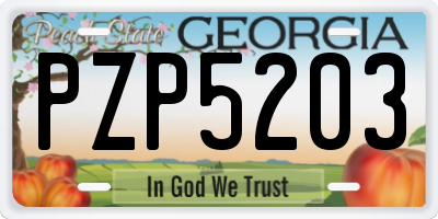 GA license plate PZP5203