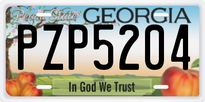 GA license plate PZP5204