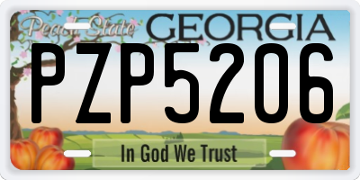 GA license plate PZP5206