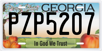 GA license plate PZP5207