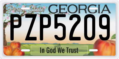 GA license plate PZP5209