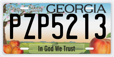 GA license plate PZP5213