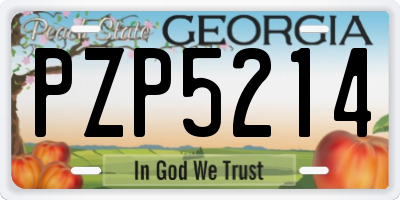 GA license plate PZP5214