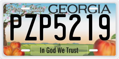 GA license plate PZP5219
