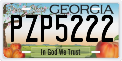 GA license plate PZP5222