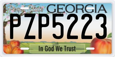 GA license plate PZP5223