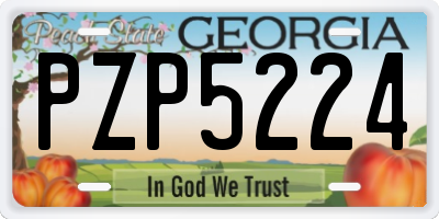 GA license plate PZP5224