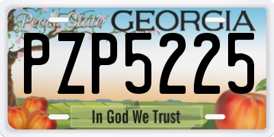 GA license plate PZP5225
