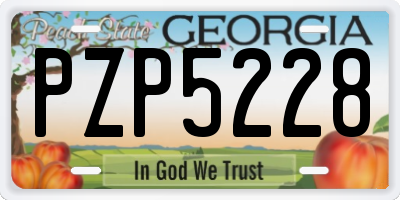GA license plate PZP5228