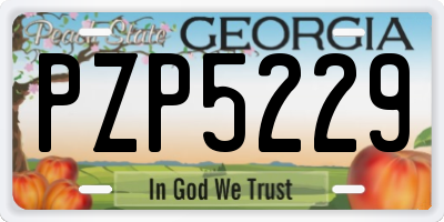 GA license plate PZP5229