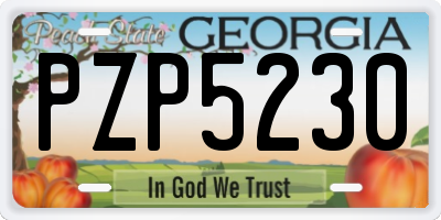 GA license plate PZP5230