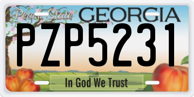 GA license plate PZP5231