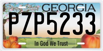 GA license plate PZP5233