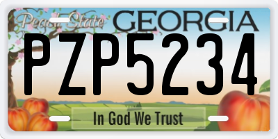 GA license plate PZP5234