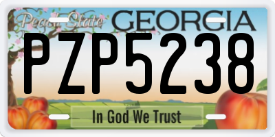 GA license plate PZP5238
