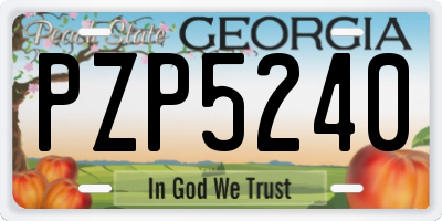 GA license plate PZP5240
