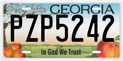 GA license plate PZP5242