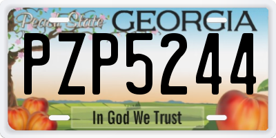 GA license plate PZP5244