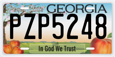 GA license plate PZP5248