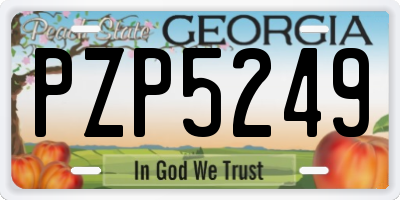 GA license plate PZP5249