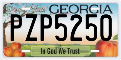 GA license plate PZP5250