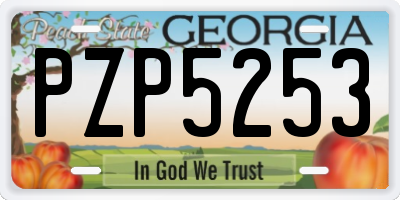 GA license plate PZP5253