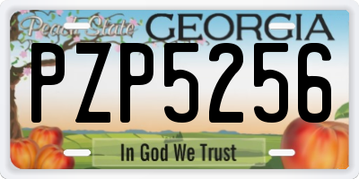 GA license plate PZP5256