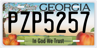 GA license plate PZP5257