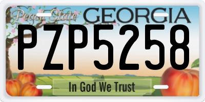 GA license plate PZP5258
