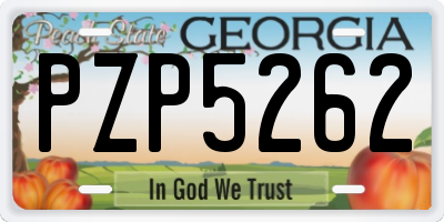 GA license plate PZP5262