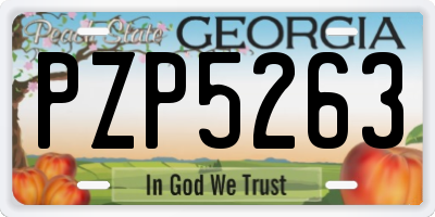 GA license plate PZP5263
