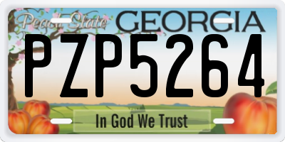 GA license plate PZP5264