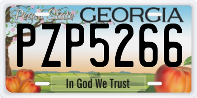 GA license plate PZP5266