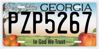 GA license plate PZP5267