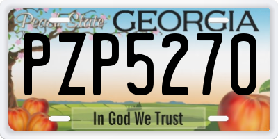 GA license plate PZP5270