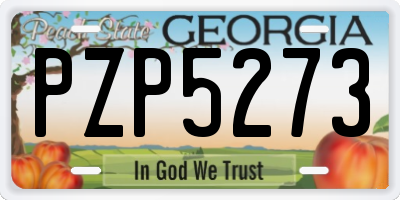 GA license plate PZP5273