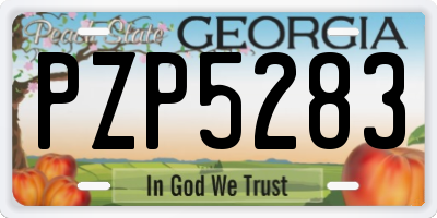 GA license plate PZP5283
