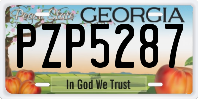 GA license plate PZP5287