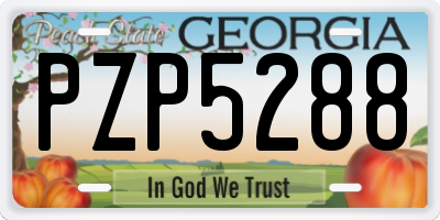 GA license plate PZP5288