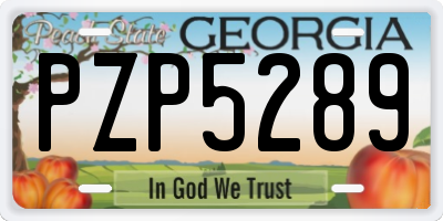 GA license plate PZP5289