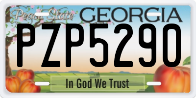 GA license plate PZP5290