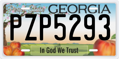 GA license plate PZP5293