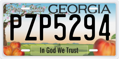 GA license plate PZP5294