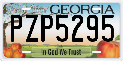 GA license plate PZP5295