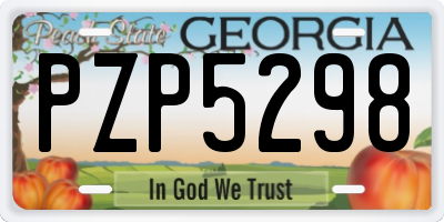 GA license plate PZP5298