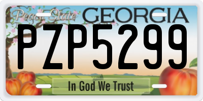 GA license plate PZP5299