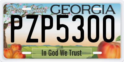 GA license plate PZP5300