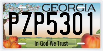 GA license plate PZP5301